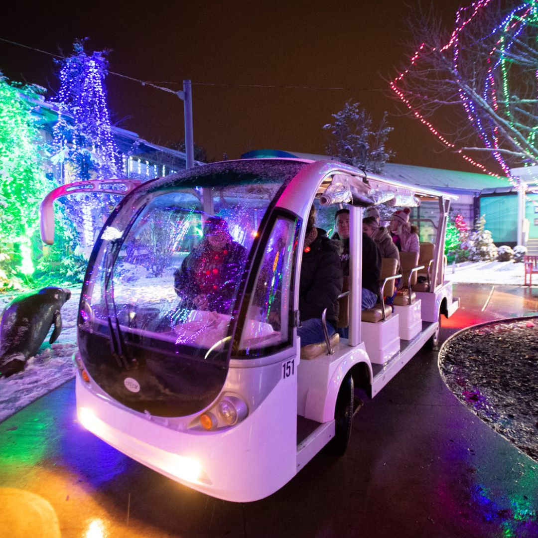 Wildlights 2025 Columbus Zoo and Aquarium